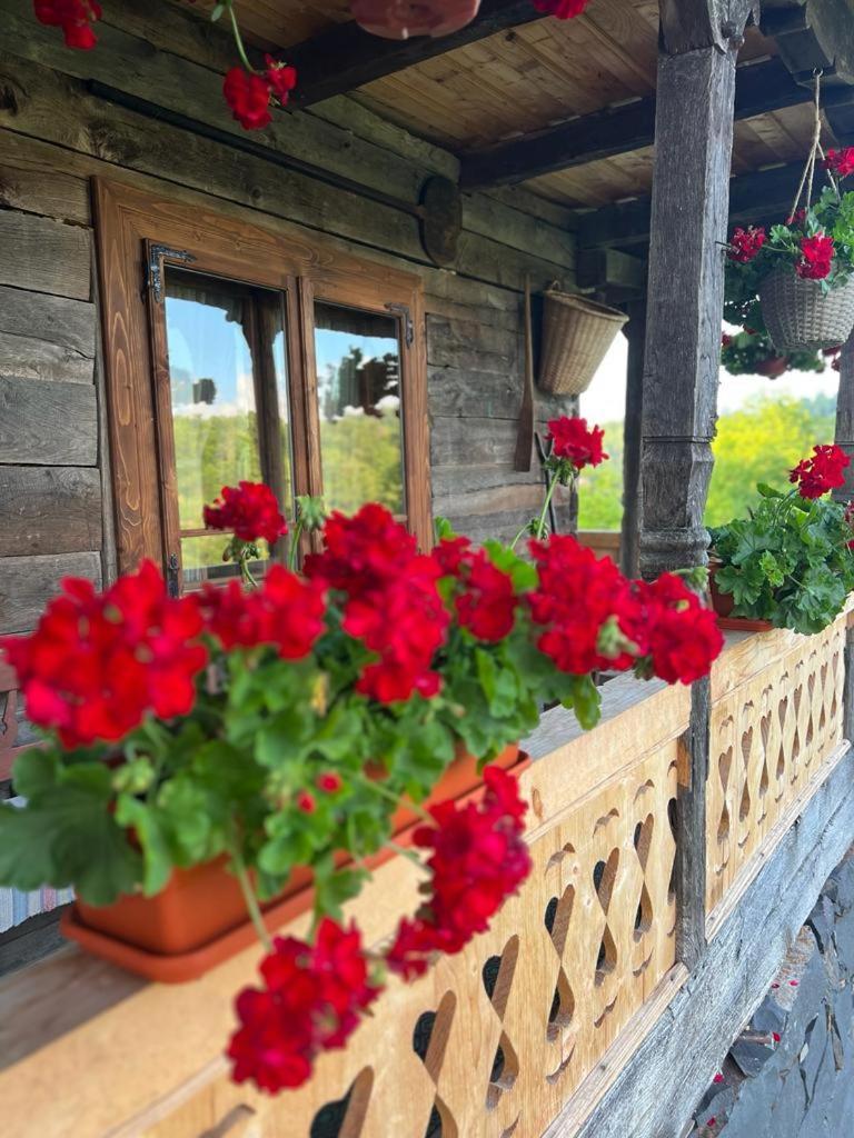 فندق Casa Veche Breb المظهر الخارجي الصورة